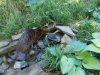 DSCN0697.JPG