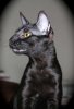 071115-2_web.jpg