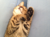 upload_2015-7-20_16-43-44.png