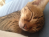 upload_2015-7-20_16-45-53.png