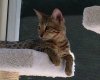 2015-08-05 11.09.01 HDR.jpg