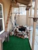 catio8.18.15.jpg