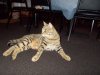 DSCN1067.JPG