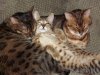 100_3497.JPG