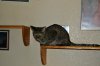 dsc_0005 small.jpg