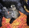 092015-siri-first-litter-2_web.jpg