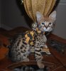 DSC_0196.jpg