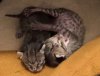 092815-siri-genesis-and-brother_web.jpg
