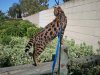 2012-09-04 10.08.53.jpg