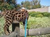 2012-09-04 10.08.26.jpg