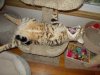 DSCN1160.JPG