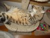 DSCN1162.JPG