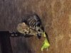 uploadfromtaptalk1445664091519.JPG uploadfromtaptalk1445664091519.JPG