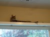 shelf vent.jpg
