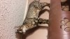 20151103_225314.jpg