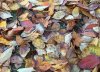 2015-11-06 14.22.04 HDR.jpg