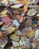 2015-11-06 14.22.30 HDR.jpg
