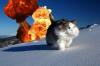end of days.png