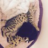 2015-05MAY_3 months old.jpg