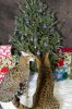 Holiday pet photos 2015-9.jpg