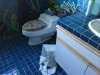 savandalism dec 2015 bathroom.JPG
