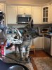 Rey on counter 2015-12-13 12.42.52.jpg
