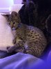 Rey 2015-11-29 18.06.11.jpg