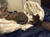Rey and M in bed2015-12-06 22.42.50.jpg