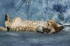 Amini Katika 2016 0103 15.JPG
