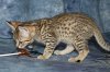 Amini Katika 2016 0103 20.JPG