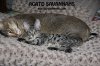 123015-genny.jpg