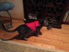 Rafiki warm jacket 1.JPG