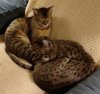 Kilifi sleeping 2.jpg