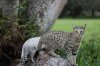 Optimized-IMG_0226.JPG