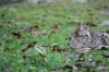 Optimized-IMG_0235.JPG