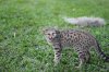 Optimized-IMG_0273.JPG