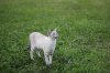 Optimized-IMG_0280.JPG