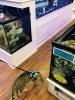 2016_01JAN-2.jpg