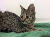 Baby Rey 2016-01-16 14.19.15-1.jpg