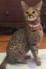 Baby Rey 2016-01-23 15.39.46.jpg