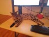 20160121_195224.jpg