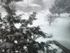 2016-01-23 08.46.41.jpg