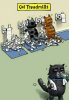 cat treadmills.jpg