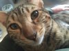 2016-02-20 11.06.30.jpg