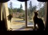 image.jpeg image.jpeg