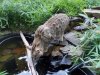 DSCN0953.JPG