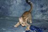 Amini Katika 2016 0207 09.JPG