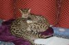 DSC_0024.JPG