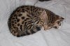 DSC_0017.JPG
