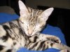 xumi snooze 1-23-12.jpg